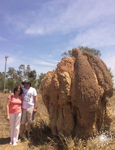 A “small” termite mound near Mareeba.