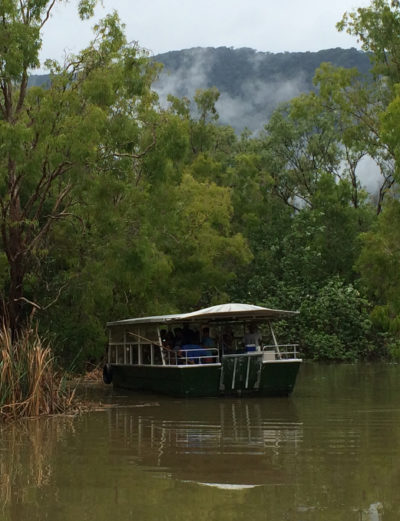 De crucero entre manglares en el Rio Daintree.